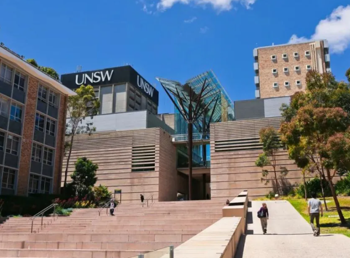 英國南威爾士大學